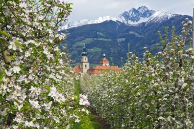 Frühling in Dorf Tirol