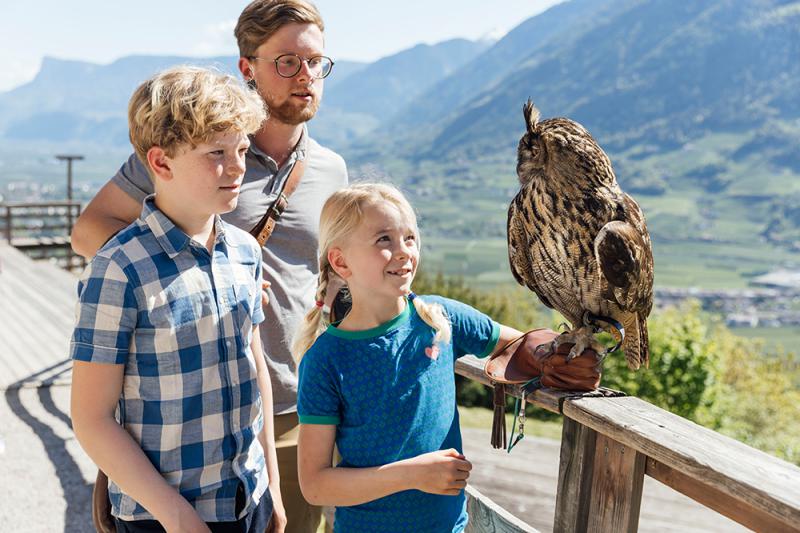 Il Centro Recupero Avifauna di Castel Tirolo