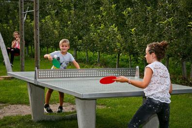 Children play table tennis