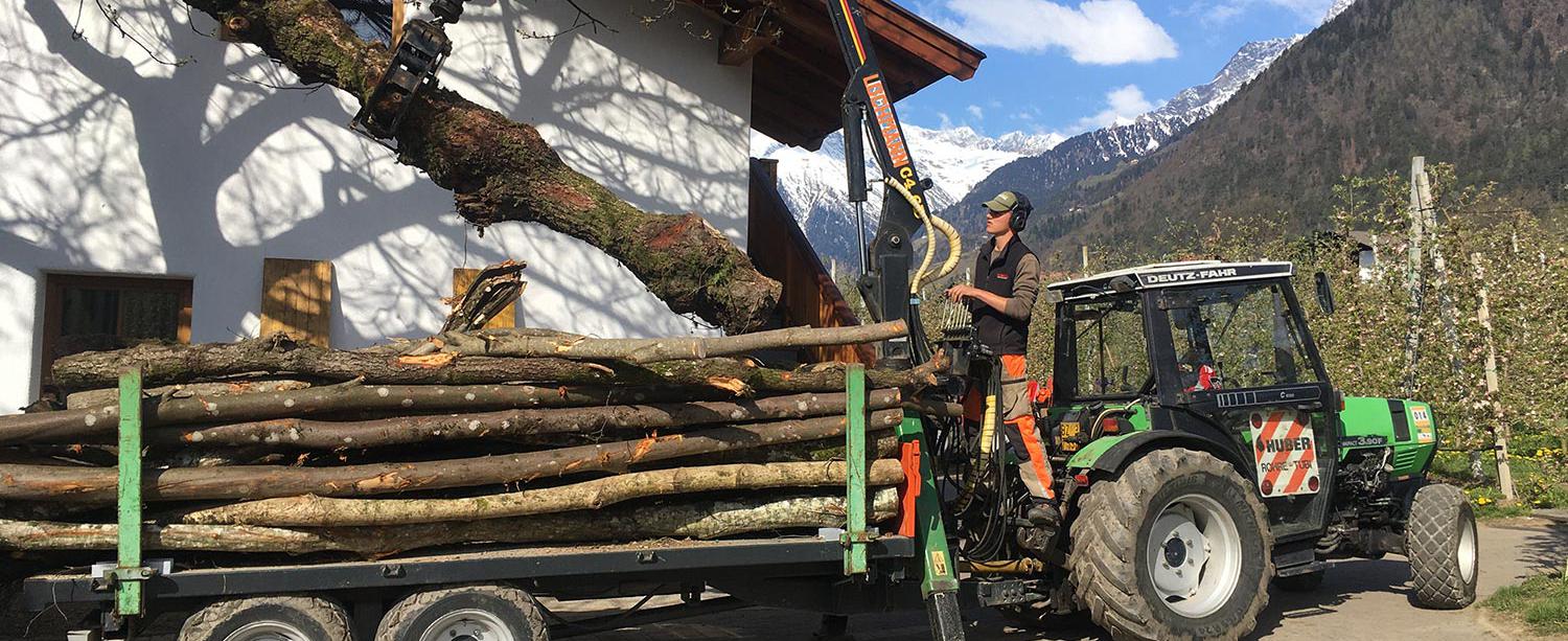 Holz aus unserer Landwirtschaft