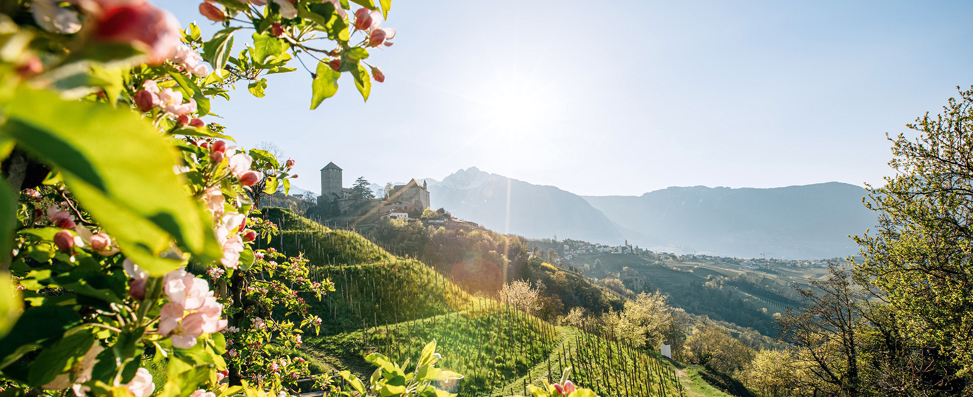 Castel Tirolo - Primavera