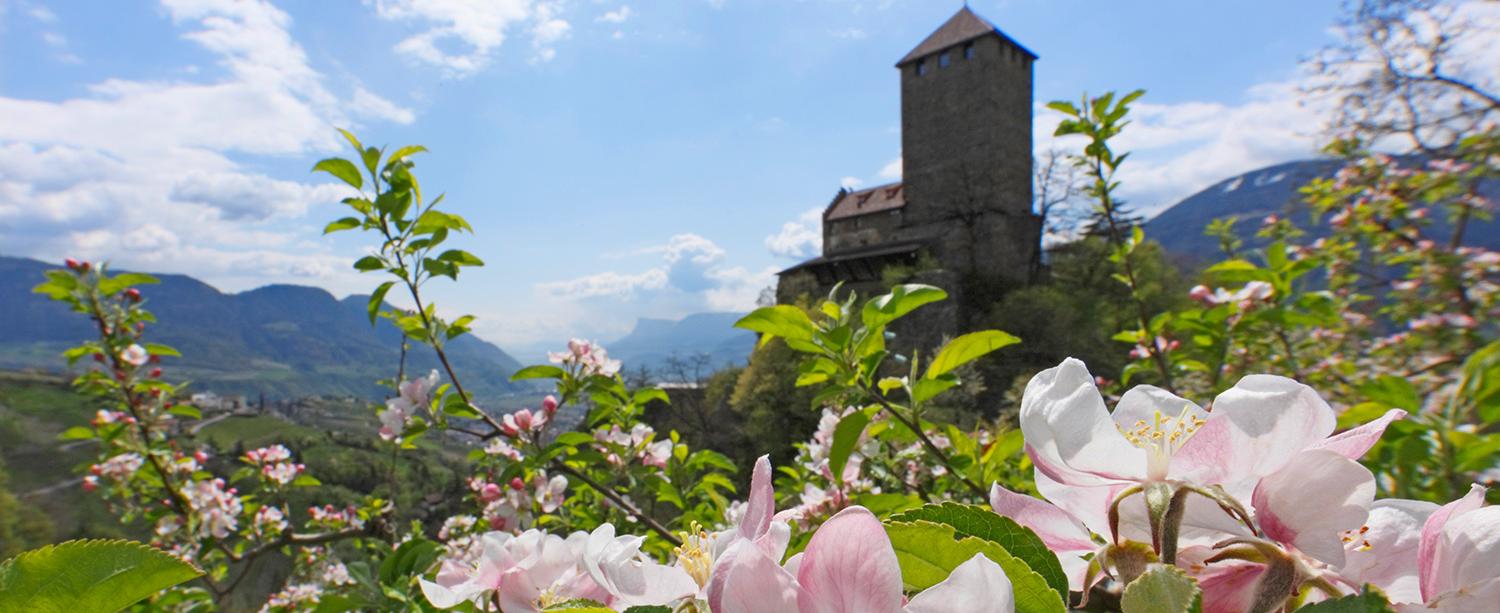 Schloss Tirol - Frühling